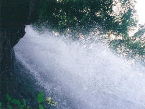 �����̑�